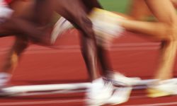 Windfall’s 2017 Test with “Coach Paint” an Overwhelming Success